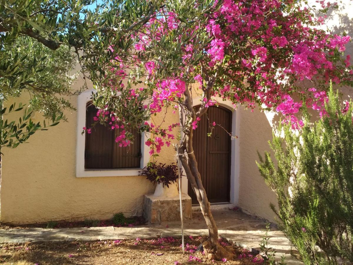 Porto Heli Apartments Παλαίκαστρο Εξωτερικό φωτογραφία